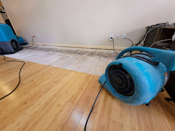 Professional Burst Pipe Water Damage technician working in Elliott, SC